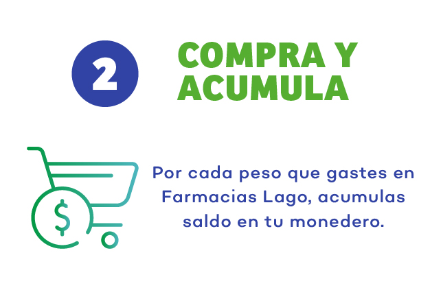 Paso 2